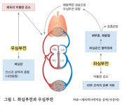 오른쪽 심장과 왼쪽 심장? 심장은 하나 아닌가요? [의사에게 듣는 질환 이야기]