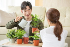 홈가드닝은 어떻게 우울증을 완화시키나?