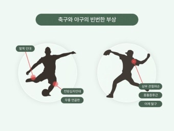 축구·야구 도중 '부상' 잘 생기는 부위는?