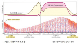 생리통은 ‘왜’ 생기는 거죠? [의사에게 듣는 질환 이야기]