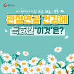 [카드뉴스] 우리 땅에서 자란 귀한 신토불이 약초, 관절연골 건강에 특효인 ‘이것’은?