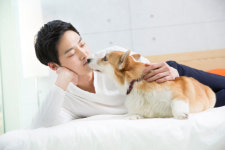 사랑스러운 반려견이지만… ‘뽀뽀’는 하면 안 되는 이유