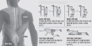 옷태 안사는 라운드 숄더… 이 동작 하면 펴집니다