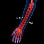 문고리 돌리는데 손목 찌릿… 이 질환 의심해야