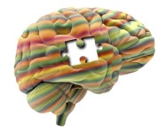 갑자기 인지능력 떨어졌다… 치매 아닌 이 질환부터 의심을