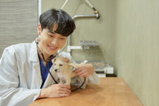 경상남도, 동물병원 ‘진료비용 게시’ 실태 일제 점검 [멍멍냥냥]