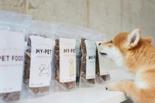 “펫푸드 ‘안전성’에 구멍… 성분 검증하고 리콜할 주체 필요” [멍멍냥냥]