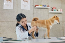 ‘슬개골 탈구 예방법’ 알려준다는 곳, 동물병원 아니었다 [멍멍냥냥]