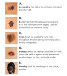 자외선 강해져 피부암 환자 늘고 있다… 점과 구별하는 ‘ABCDE 법칙’