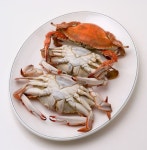 수온 오르며 값싼 ‘꽃게’ 풍년, 맛있는 게 고르는 방법은?