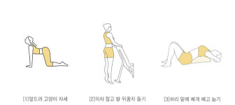 동물의 왕국 통해 알아보는 ‘척추 후만증’ 이야기 [황상필 원장의 <의사의 노트>]