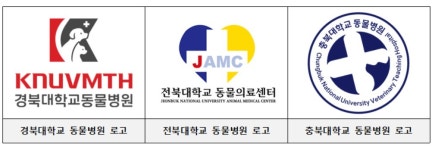 대학동물병원 경쟁력 필요한데… 자체 브랜드·독립 법인화 계획 無 [멍멍냥냥]