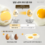 진하고 연하고… 계란마다 노른자 색깔 다르던데, 영양도 다를까?
