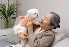 [멍멍냥냥] 60대 부모님, 카드 어디 긁나 봤더니… “멍냥이한텐 돈 안 아껴”