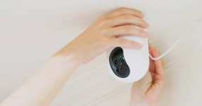 [멍멍냥냥] 반려동물 영업장 내 CCTV 설치 의무화… 동물병원은 해당 안 돼