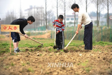 (5)CHINA-CHANGSHA-FARM-SNS