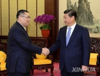 CHINA-BEIJING-XI JINPING-CHUI SAI ON-MEETING (CN)