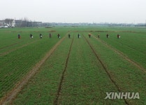 CHINA-FARM WORK-BEGINNING OF SPRING (CN)