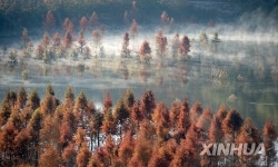 CHINA-YUNNAN-KUNMING-WETLAND (CN)