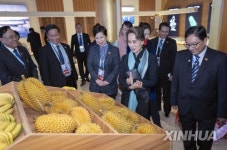 (EXPO 2019)CHINA-BEIJING-HORTICULTURAL EXPO-MYANMAR GARDEN-AUNG SAN SUU KYI-VISIT (CN)