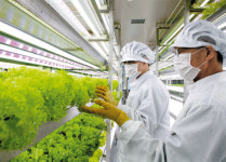 날씨 영향 없이 채소 키우는 ‘아파트형 농장’도 등장