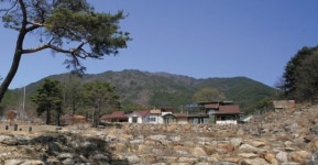 개천길에 옹기종기 다른 듯 닮은 귀농·귀촌 20가구