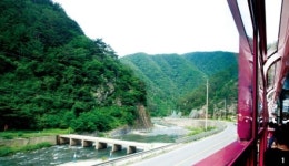 삶은 계란 먹고, 사이다 마시며백두대간 초록천지로 덜컹덜컹