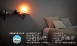 해 늦게 떠 멜라토닌 계속 분비 … 생체시계는 밤