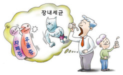 [김은기의 ‘바이오 토크’] 뱃속 세균 잡는 유산균 우울증·자폐증도 막아준다