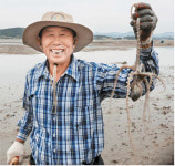 세발낙지는 그냥 어린 낙지, 좀 큰 것 회 쳐 먹는 게 탕탕이