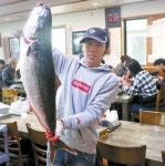 돌고래 ‘식량’인 방어 … 뱃살 기름지고 사잇살은 육회 맛