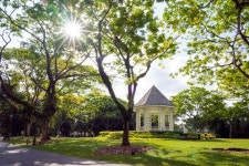 넓어도 너무 넓다, 대자연도 탐낼 식물 천국