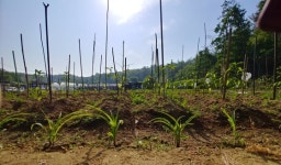 [안충기의 삽질일기] 아저씨가 아줌마를 이길 수 없는 이유