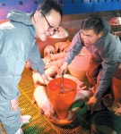 돼지가 유산균을 만났을 때, 산학협력 명품 성과 나왔다