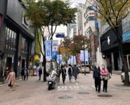 [스무 고개, 수많은 이야기 1] 진고개 점령한 일본인, 혼마치로 바꿔 식민화 거점 삼아