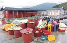 어란 600㎏, 곶감 4만개, 김치 3000포기…맛도 꿈도 익어가네