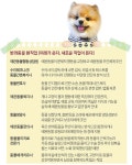 도그워커·펫시터·개 셰프가 교사보다 유망하다고?