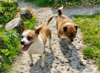 구불구불 육십령 오르니, 돈가스가 맞이해 주었다