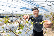 베이비부머 세대 도시탈출 행렬…기술·장비·소통 사전 준비가 성패 갈라 [불황에 늘어나는 귀농·귀어 창업]