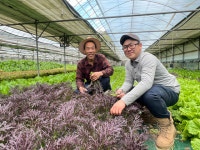 172년 대이은 ‘흙살림 농법’…70가지 채소 키워 ‘몸살림 밥상’