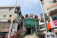 ‘치유의숲’ 노래에 귀가 즐겁고 ‘레인보우’ 그림에 눈 호강하네: 강릉국제아트페스티벌 GIAF23