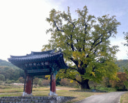 산 하나에 두 개 정상석, 사라진 비석…학가산 미스터리