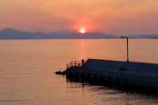 일제가 만든 해안 포진지, 100년 동백숲…다 사라진다네요