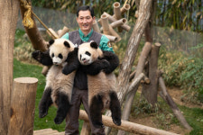 귀국날 강바오 함께 간다니 안심이야… 푸바오, 사계절 죽순 먹방으로 만나자