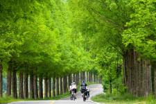 로또 당첨금 들고 튄 직장동료…국토종주 자전거길로 추격하다