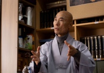 98% 불탄 숲, 자연복원 선택…기다리면 자연은 돌아옵니다