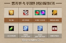 아이마 업데이트 분석, 암살자 업데이트 예고와 강화 주문서 개편