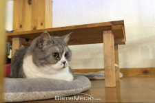 [성지순례] 연신내 게임사의 산 증인, 게임파크 빌리지