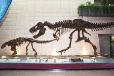 [국회보 2014년 5월호]지구과학의 모든 것이 모여있다 대전 지질박물관