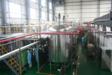 [르포] 두만강 청정지역 광동제약 옥수수농장 가보니